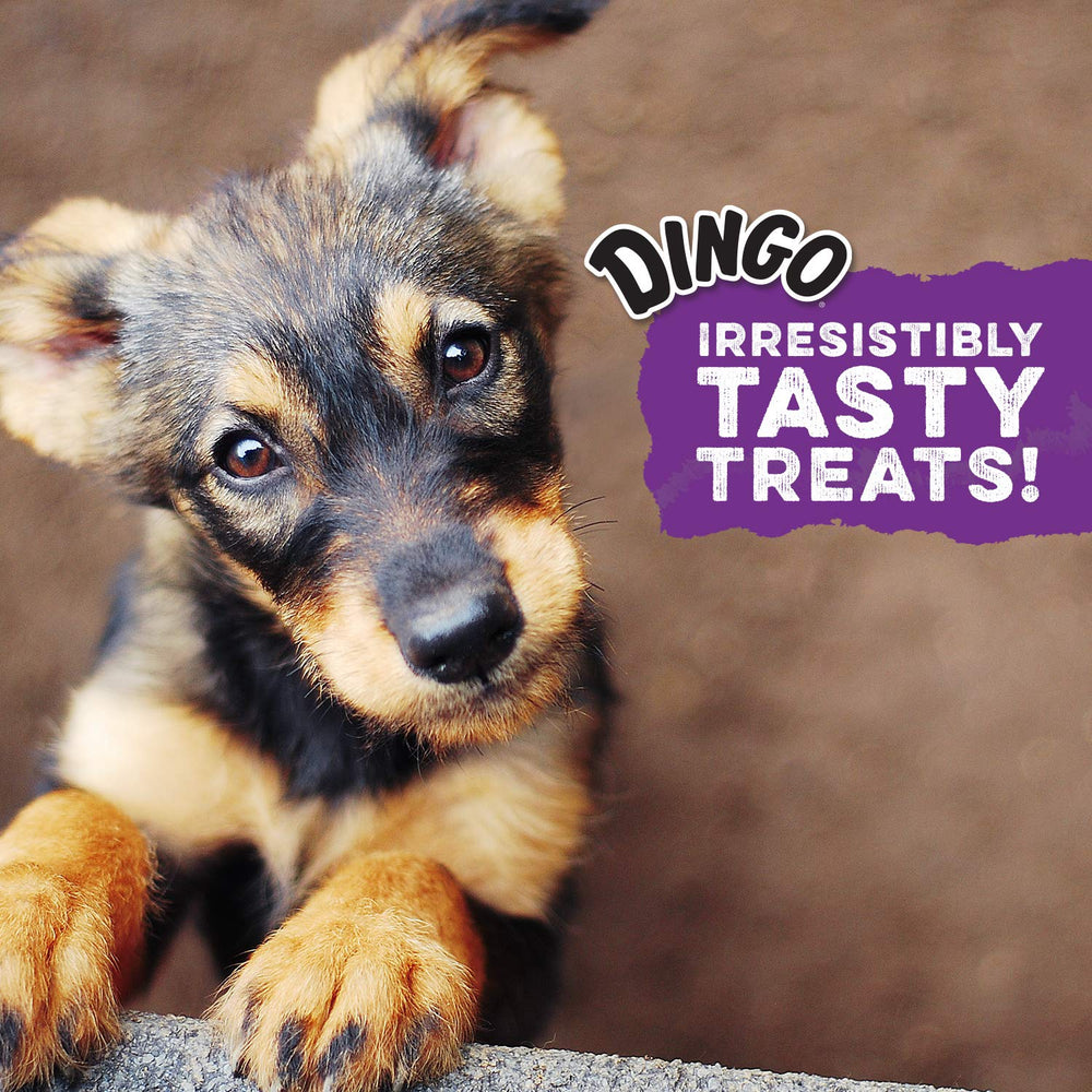 Dingo comparación de tamaño con mano, elegir palito adecuado