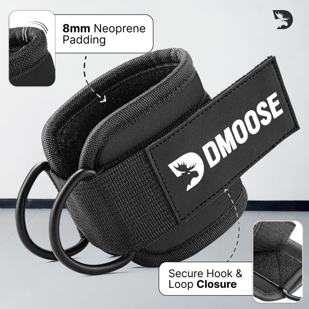 DMoose D-ring de acero inoxidable resistente y anti óxido