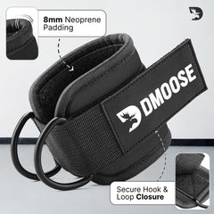 DMoose D-ring de acero inoxidable resistente y anti óxido