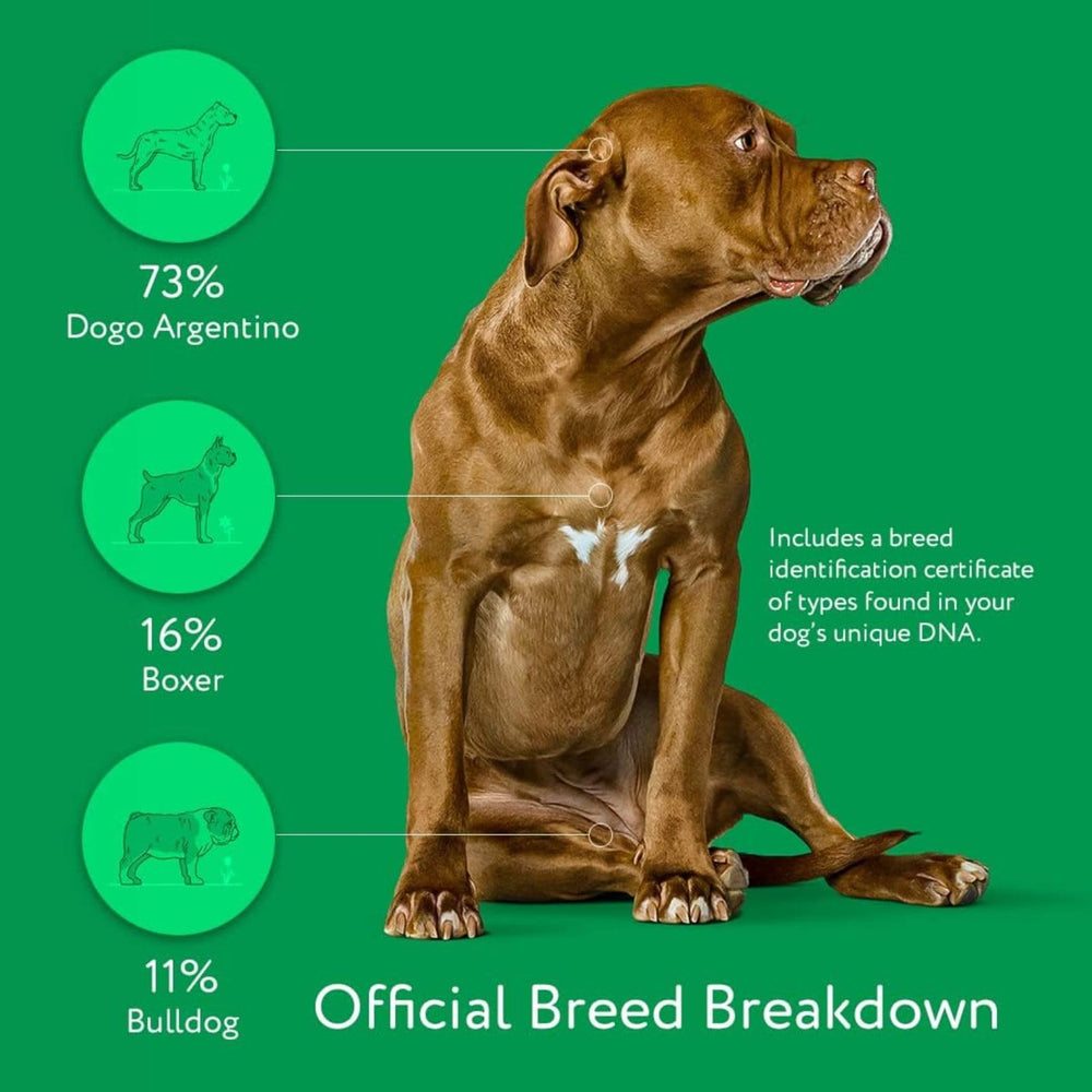 DNA MY DOG certificado descargable listo para compartir con veterinario