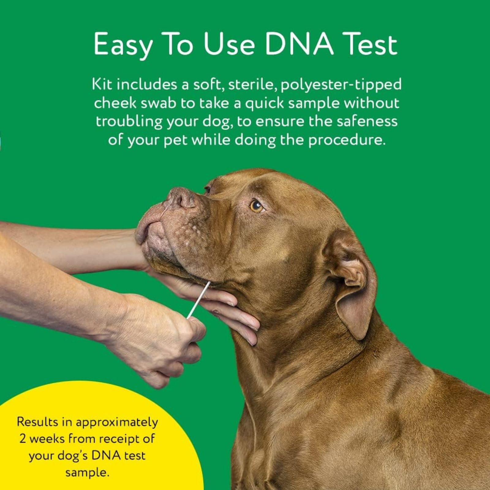 DNA MY DOG comparación de tamaño del kit para entender escala