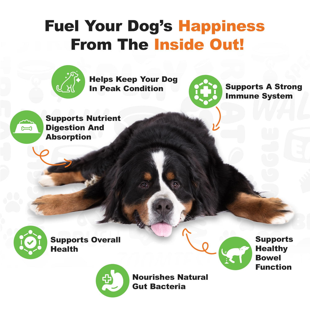 Doggie Dailies masticable en primer plano para apreciar textura blanda
