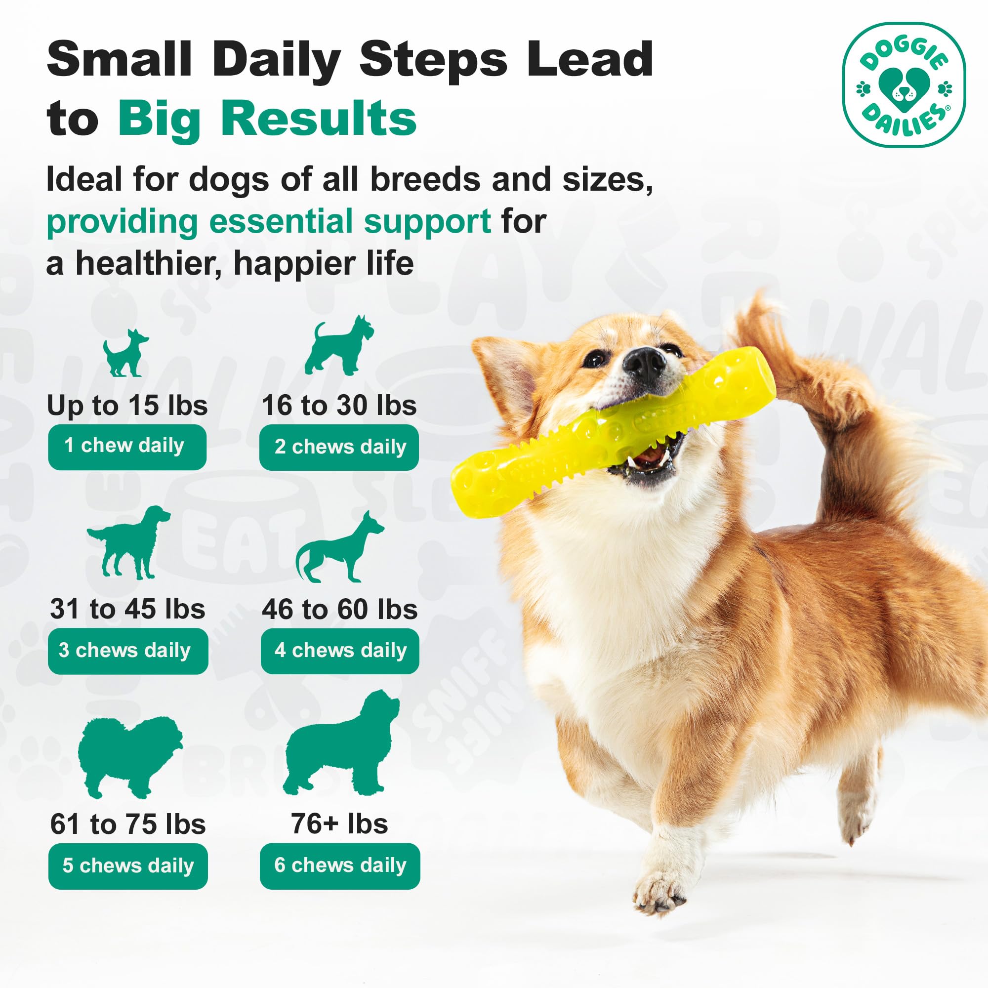 Perro disfrutando Doggie Dailies para palatabilidad y aceptación rápida