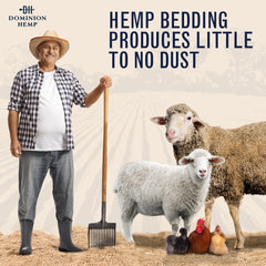 Manos sosteniendo el lecho DOMINION HEMP para comparar volumen y densidad