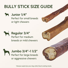 Downtown Pet Supply perro masticando bully stick, entretenimiento prolongado