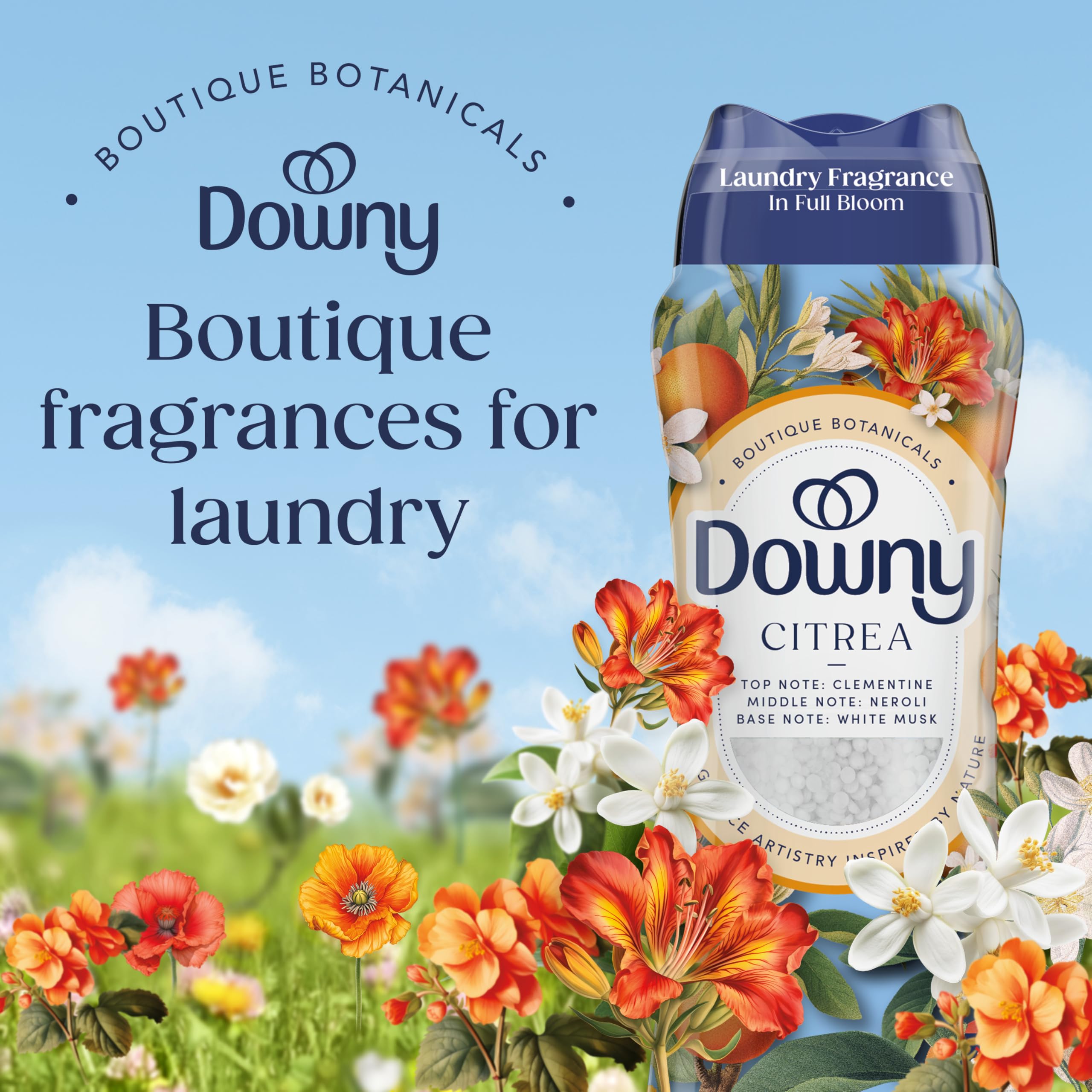Downy perlas aromáticas CITREA en primer plano mostrando textura y color