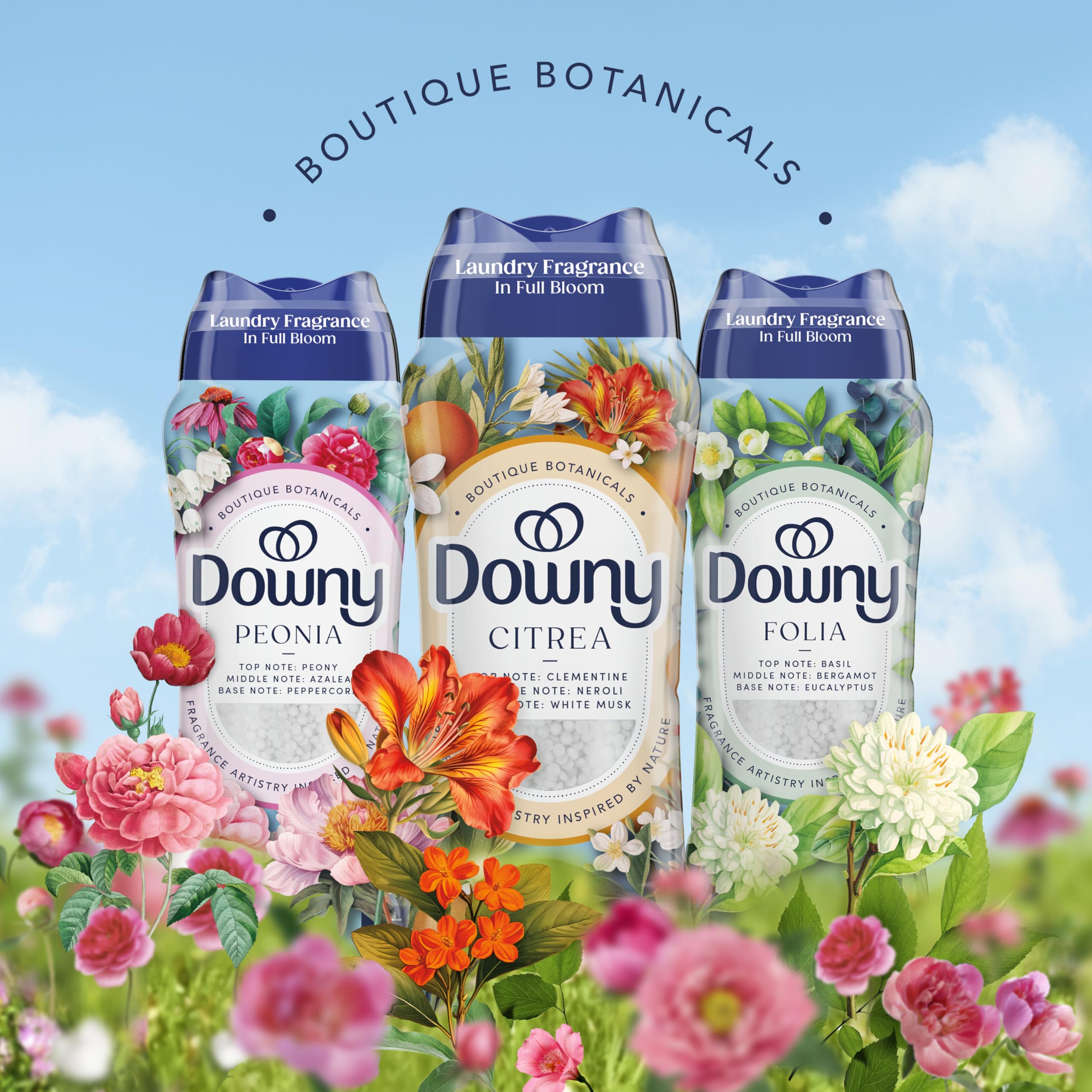 Downy botella cerca de manos para comparar tamaño y uso