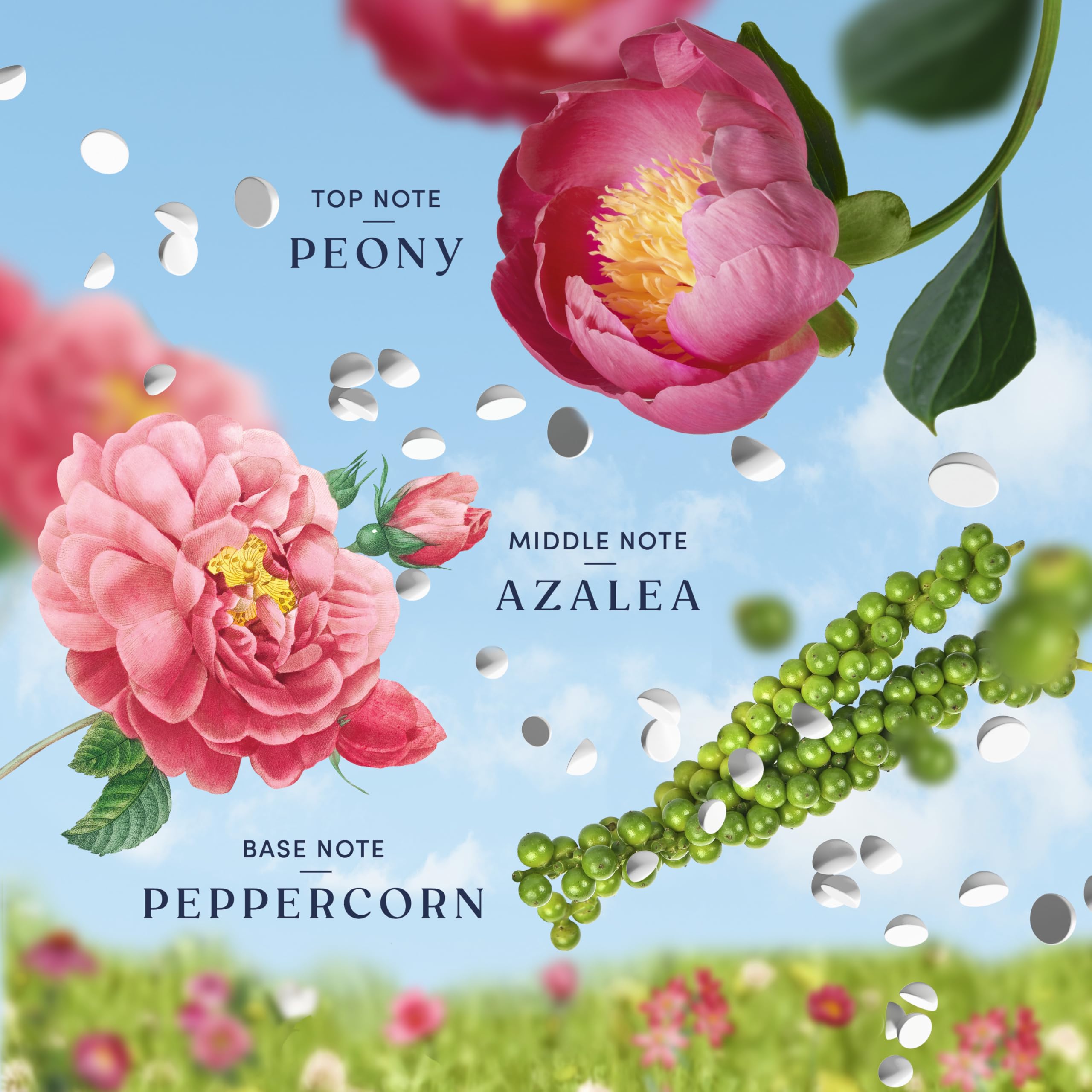 Downy etiqueta con ingredientes y notas de fragancia, información clara