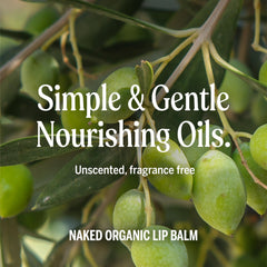 Dr. Bronner’s primer plano de ingredientes naturales, transparencia en la fórmula