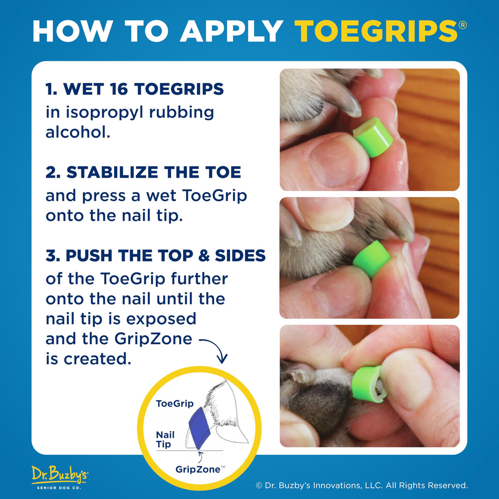 Dr. Buzby's pata con ToeGrips caminando sobre suelo de madera sin resbalar