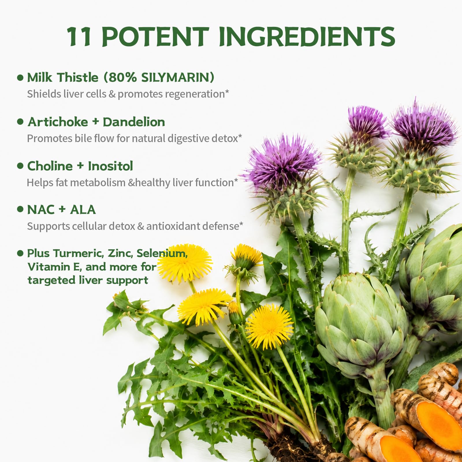 DR. CROWN etiqueta de ingredientes con información transparente