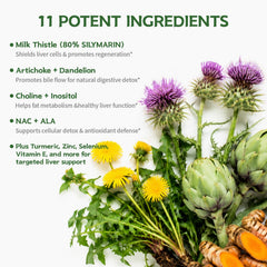 DR. CROWN etiqueta de ingredientes con información transparente