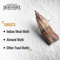 Dr. Killigan's trampa plegada en estante de despensa, uso fácil y discreto