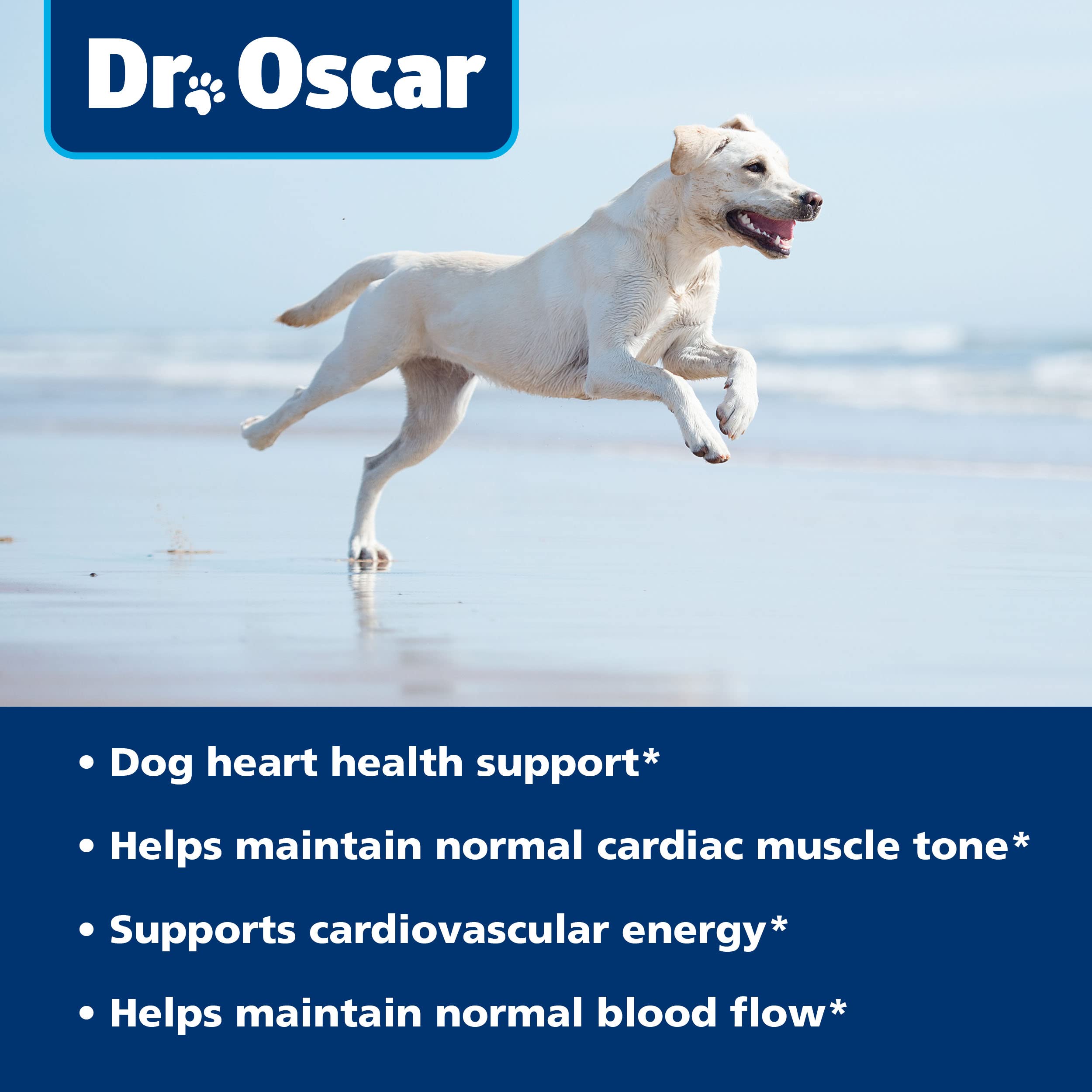 Comparación de tamaño Dr. Oscar junto a una mano para escala visual