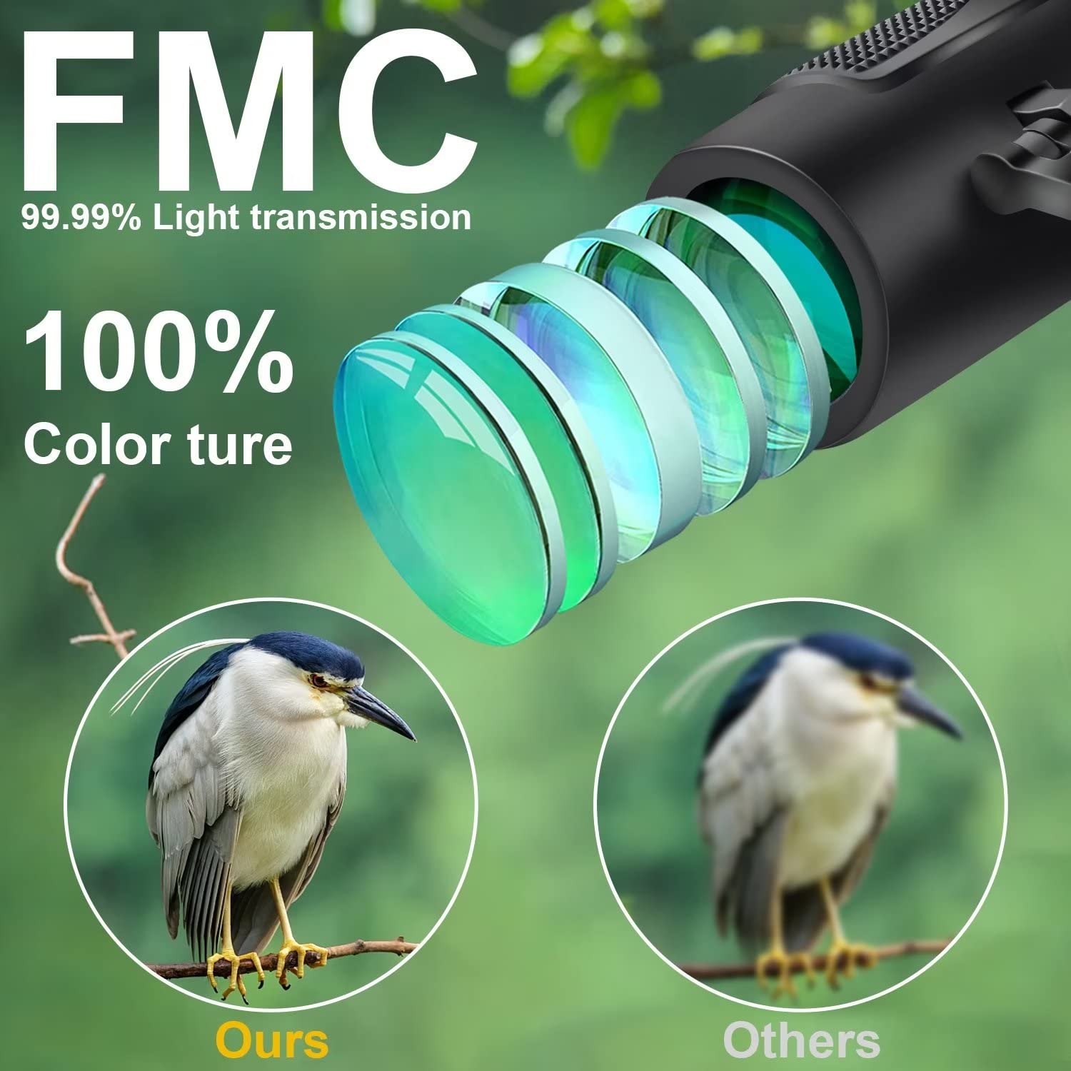 Dranbol prismáticos en uso durante observación de aves, seguimiento claro