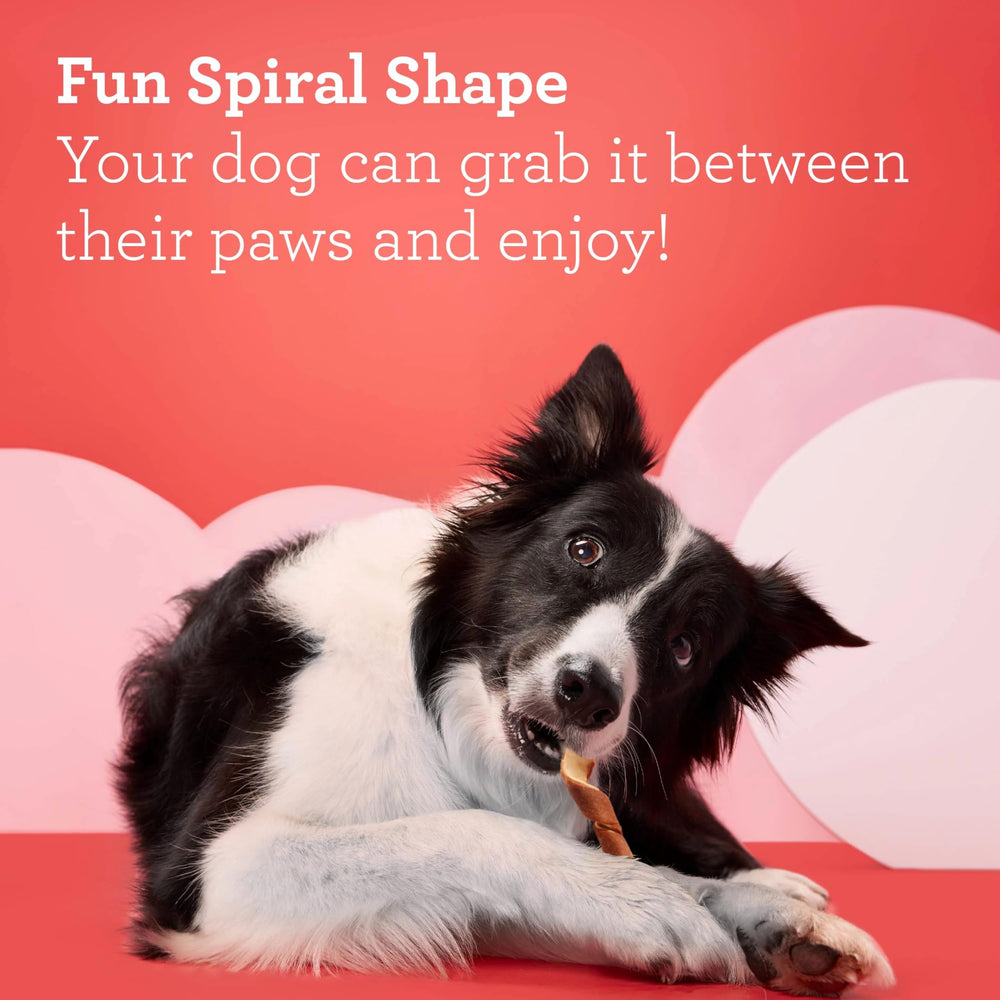DreamBone perro sujetando la espiral entre patas para entretenimiento prolongado