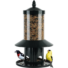 Dreamdrawer front view of hanging feeder showing clean design and bird access benefit
