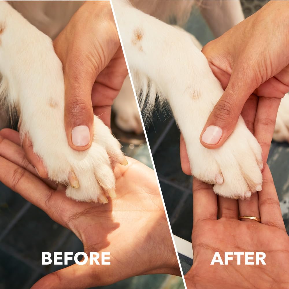 Dremel PawControl en uso, propietario limando uña con calma y control