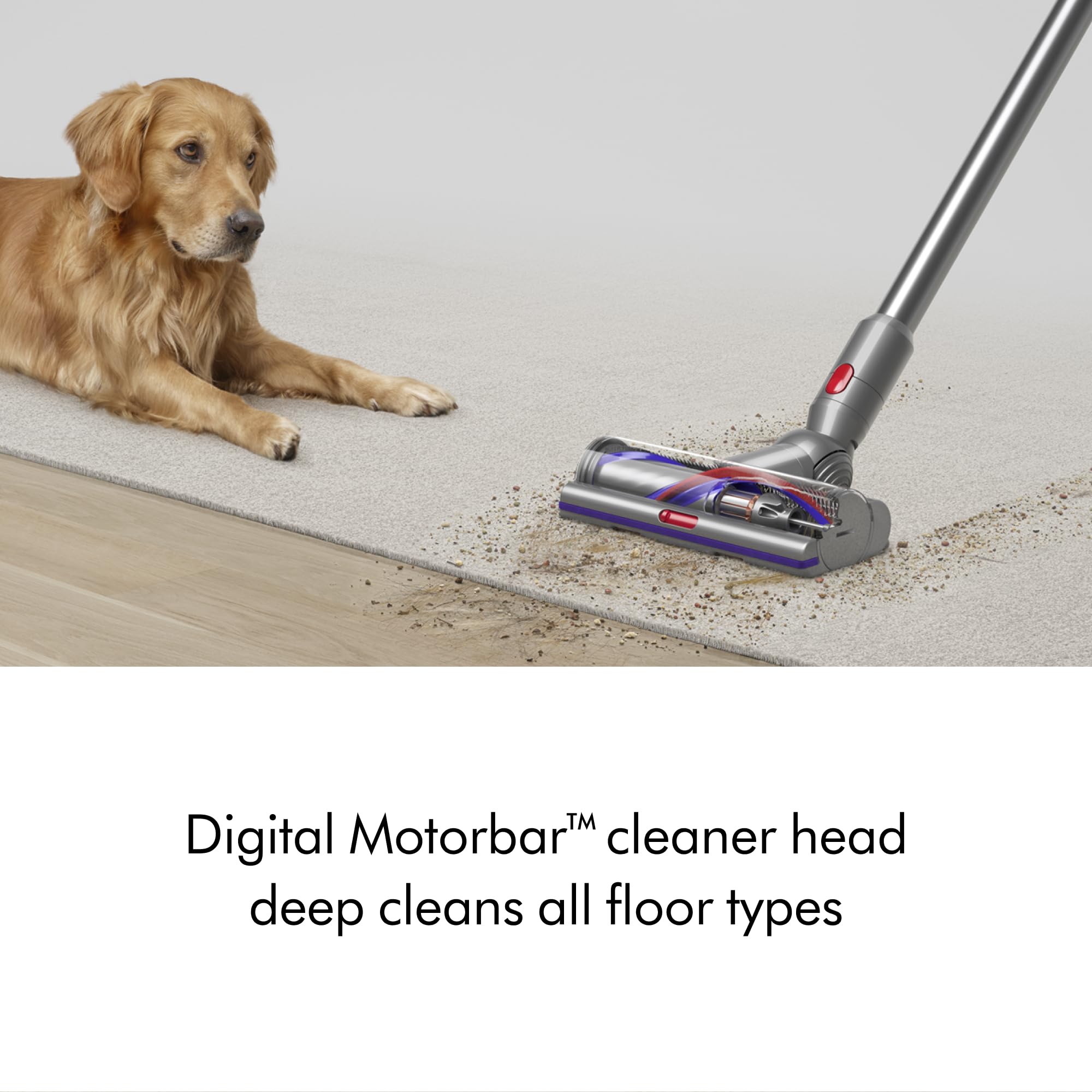 Dyson V15 pantalla LCD mostrando recuento de partículas y tiempo restante