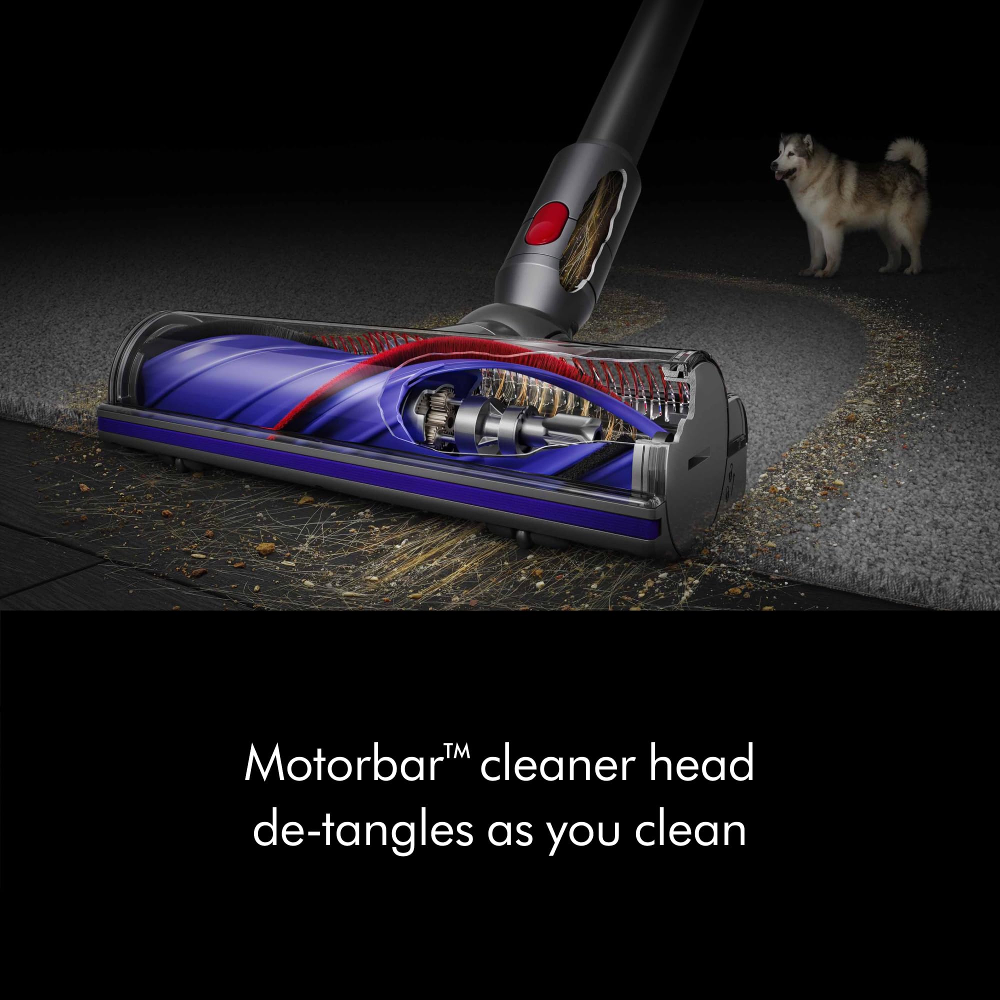 Dyson V8 Plus accesorios organizados y listos para distintas superficies