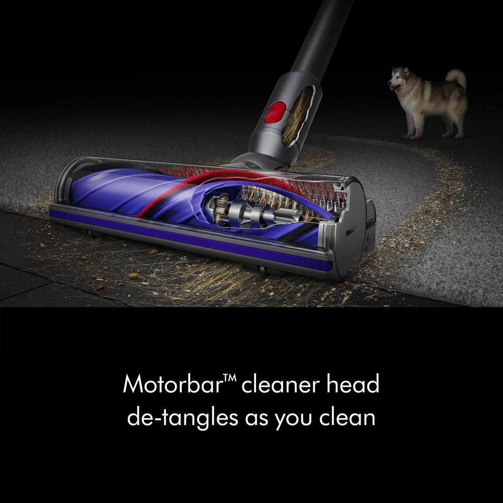 Dyson V8 Plus accesorios organizados y listos para distintas superficies