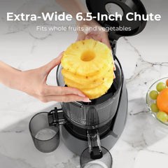 EanOruus cestas intercambiables para jugo y sorbete para preparar distintas recetas