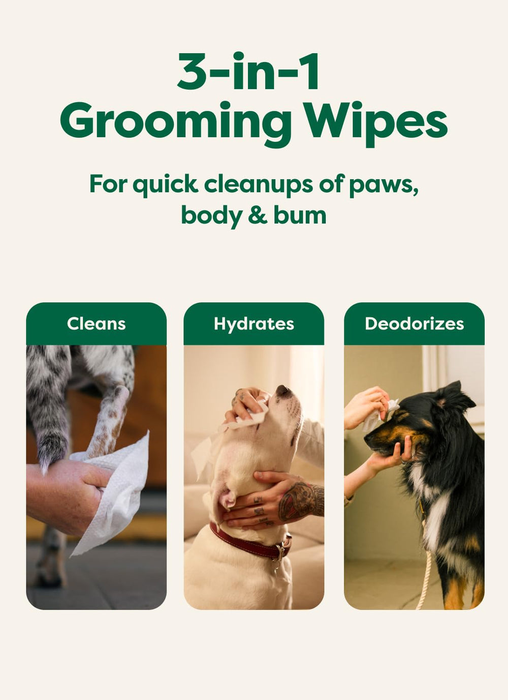 Perro con patas limpias tras usar toallitas Earth Rated después del paseo