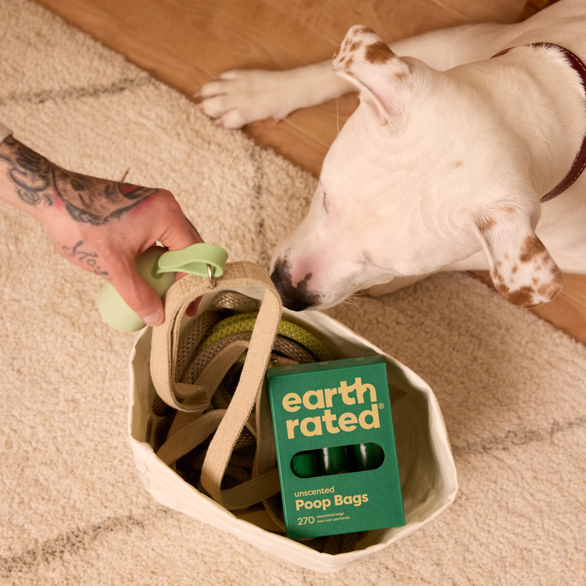 Earth Rated persona usando la bolsa durante un paseo urbano