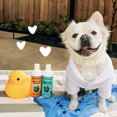 earthbath aplicando champú en perro para aliviar piel sensible