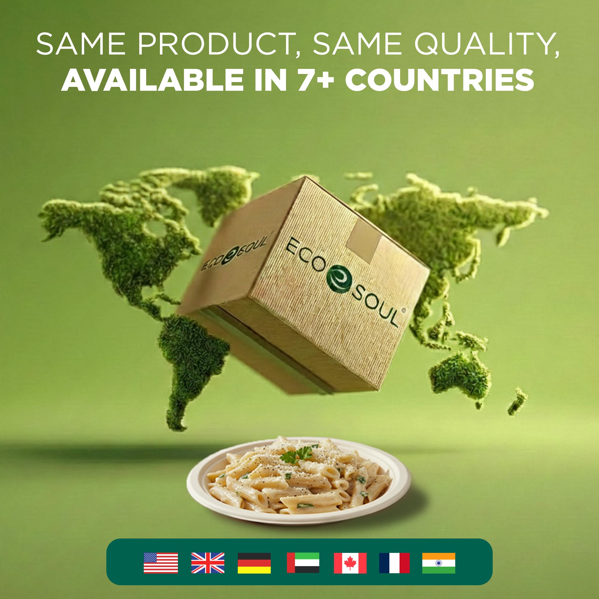 ECO SOUL plato junto a mano para comparar tamaño de 9 pulgadas