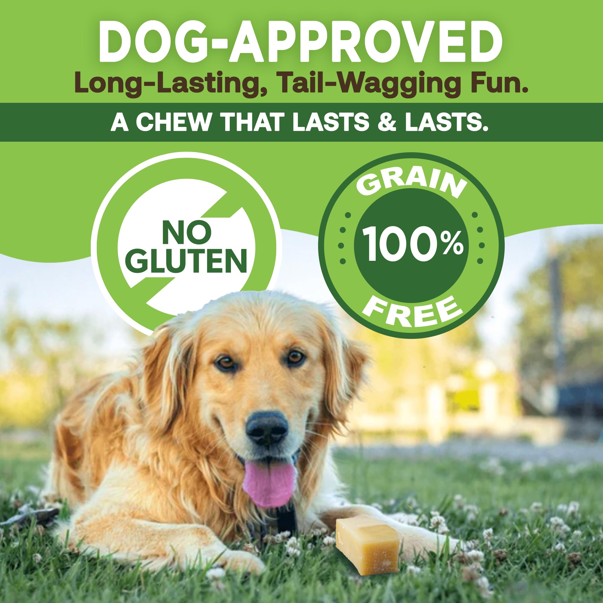 EcoKind Pet Treats perro pequeño masticando que muestra entretenimiento duradero