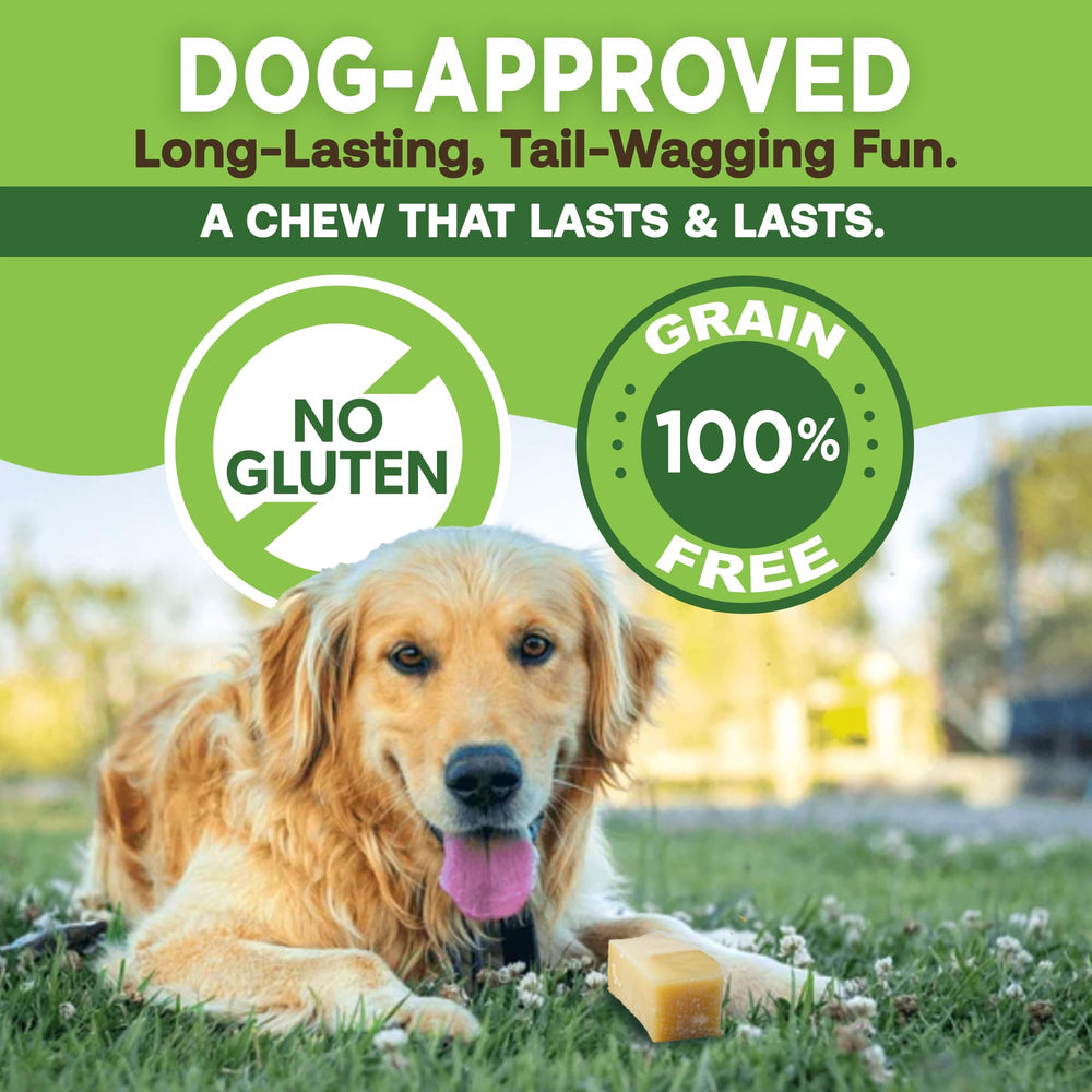 EcoKind Pet Treats perro pequeño masticando que muestra entretenimiento duradero