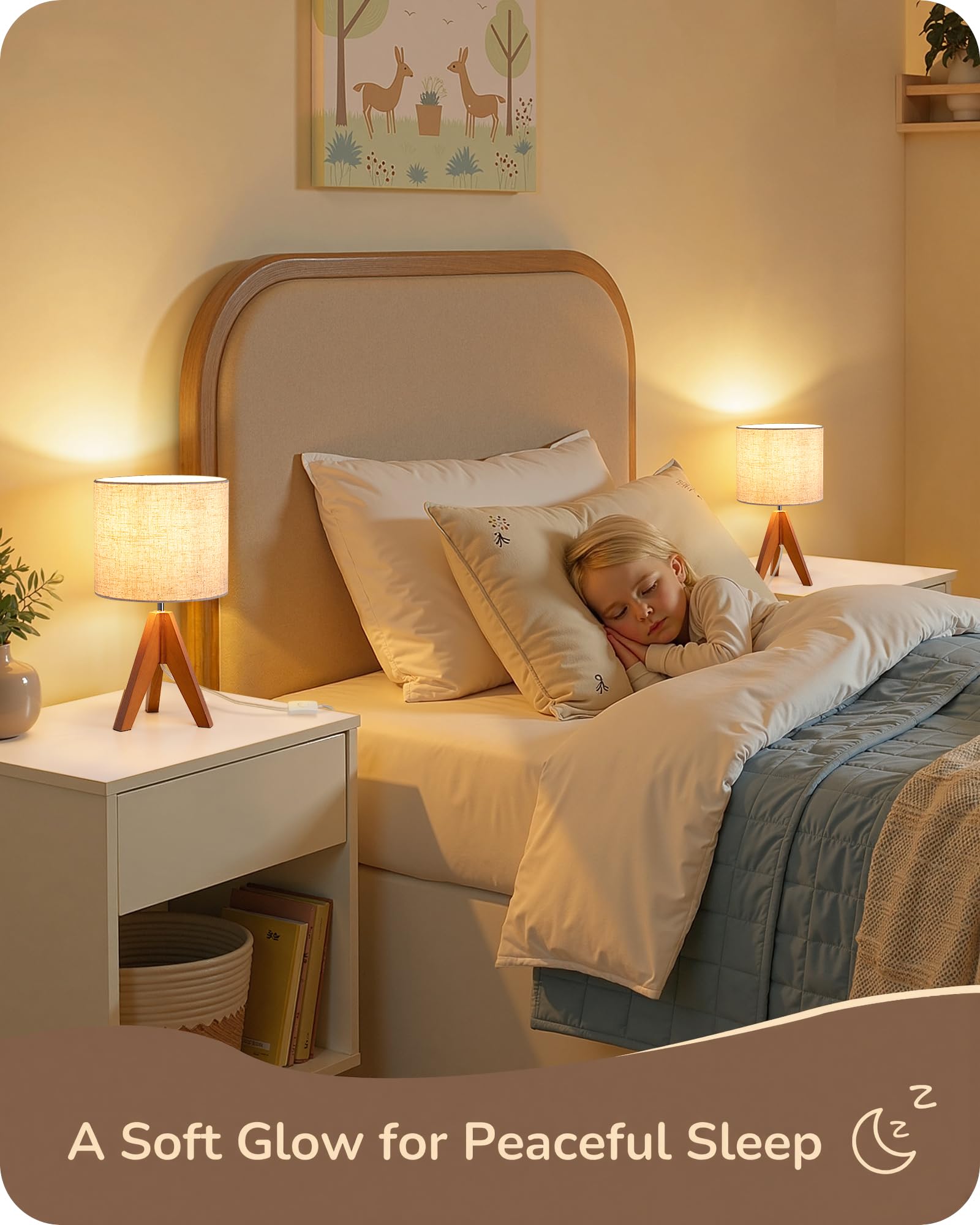 EDISHINE lámpara junto a objetos para comparar tamaño y escala