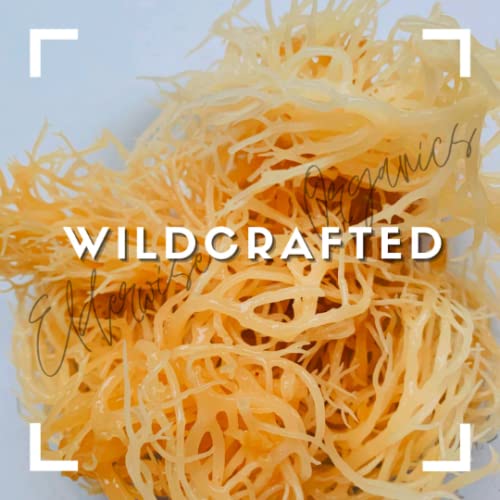 Elderwise etiqueta con origen Saint Lucia y método wildcrafted sostenible