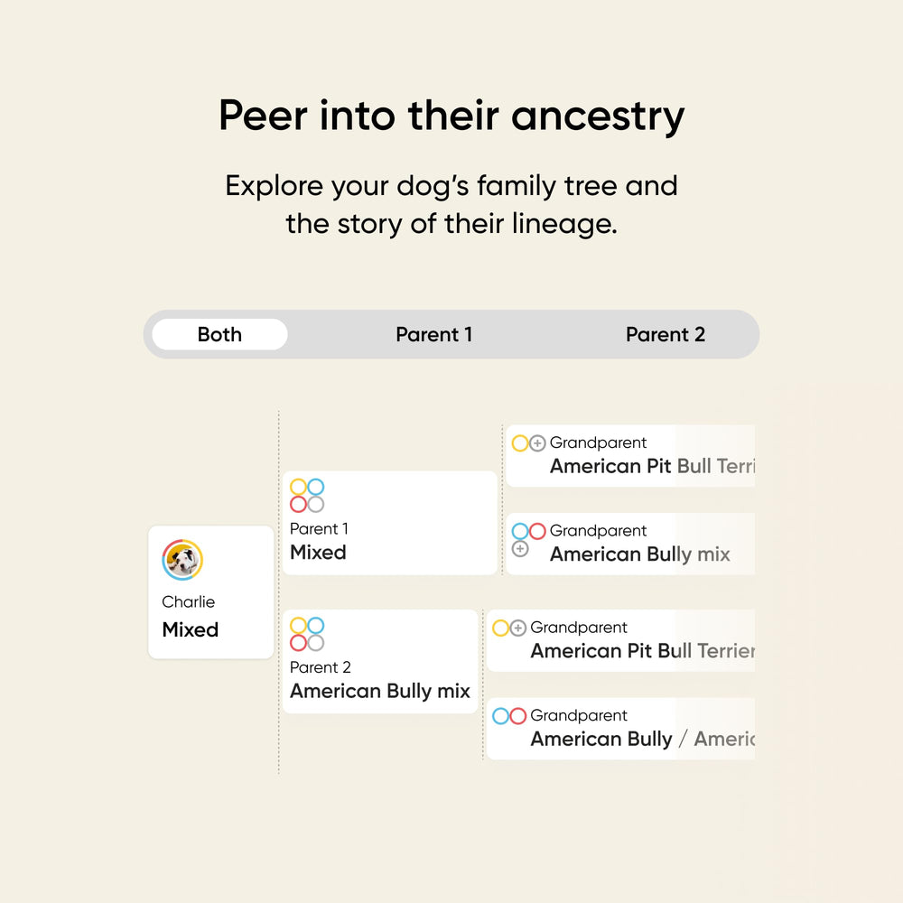 Embark comparación de tamaño del perro para estimar talla adulta