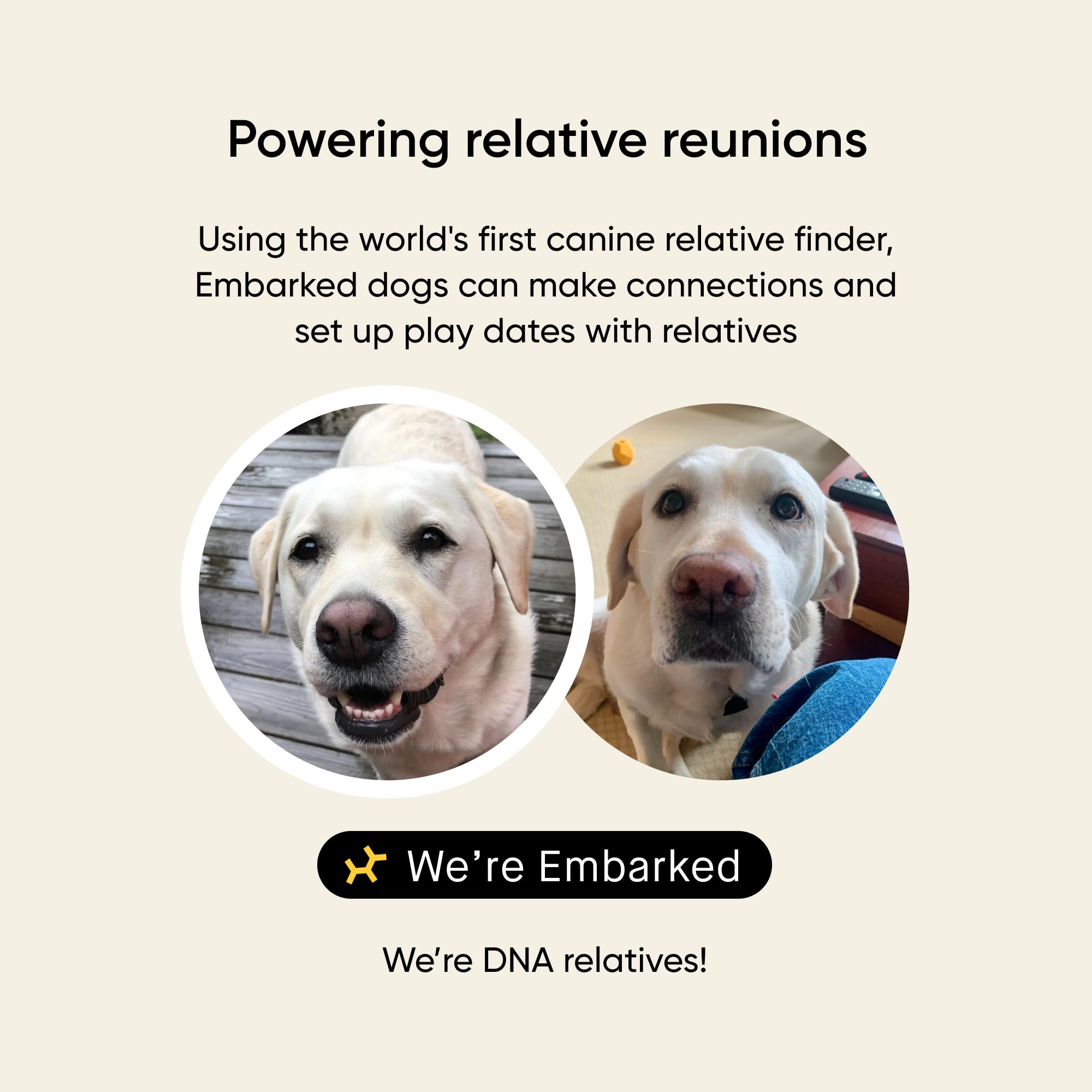Embark sobre con etiqueta prepagada listo para envío rápido