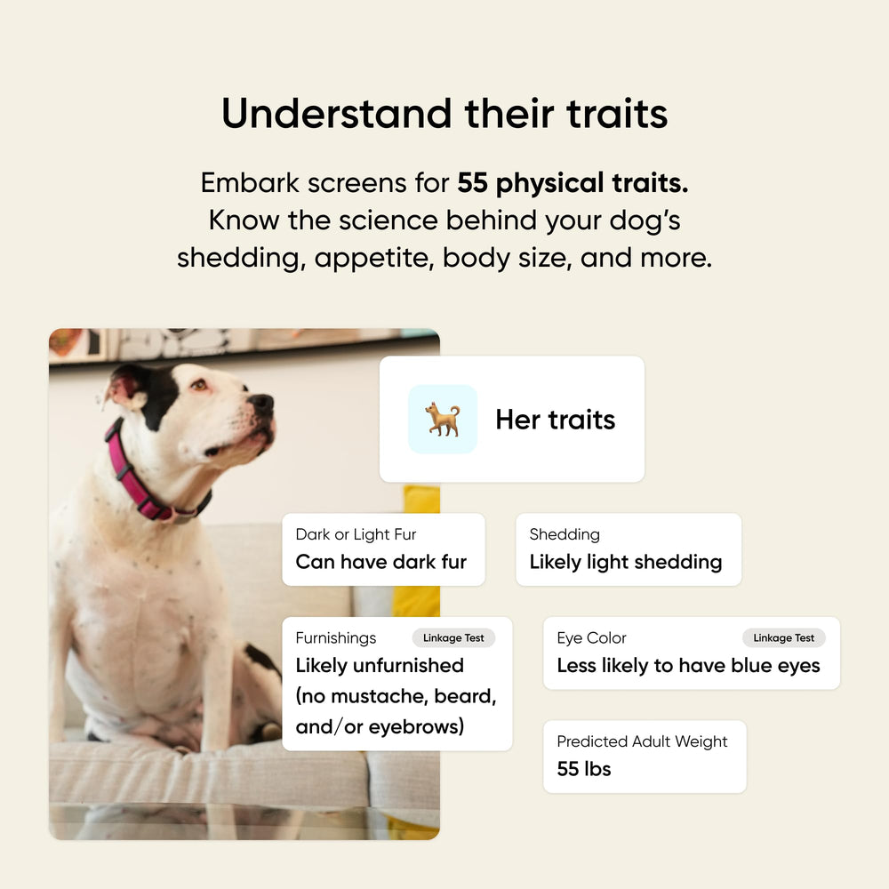 Embark informe digital en tablet con resultados claros