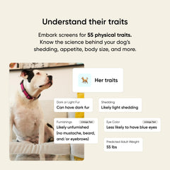 Embark informe digital en tablet con resultados claros