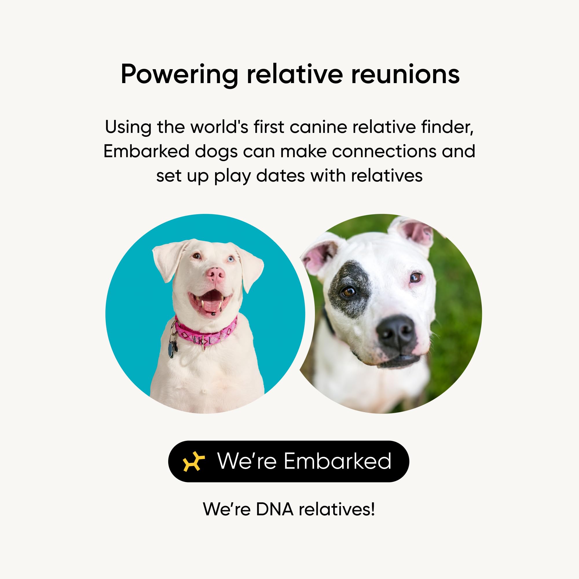 Embark instrucciones claras y etiqueta para envío rápido al laboratorio