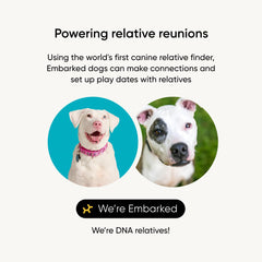 Embark instrucciones claras y etiqueta para envío rápido al laboratorio