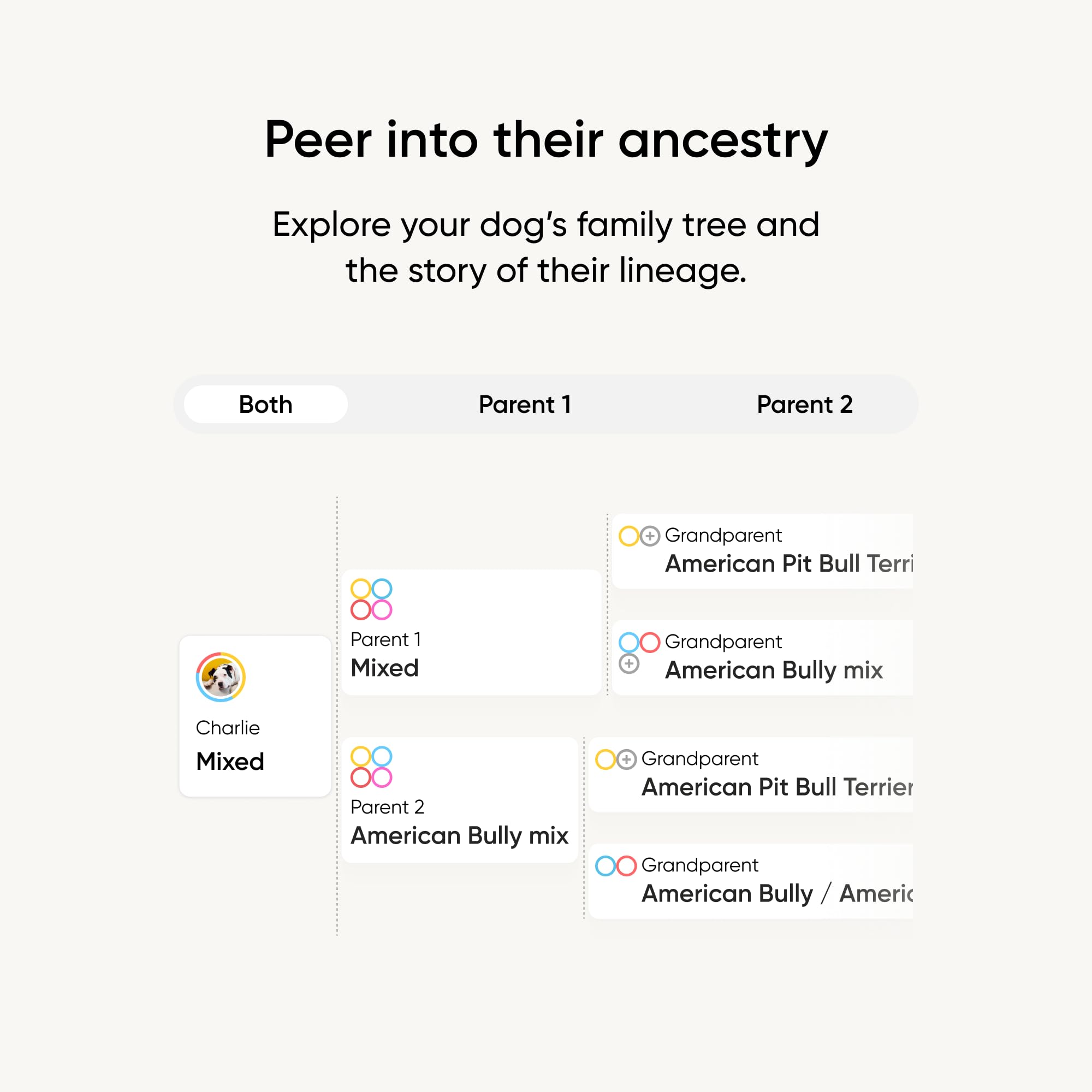 Embark hisopo sostenido en mano mostrando tamaño real y conveniencia
