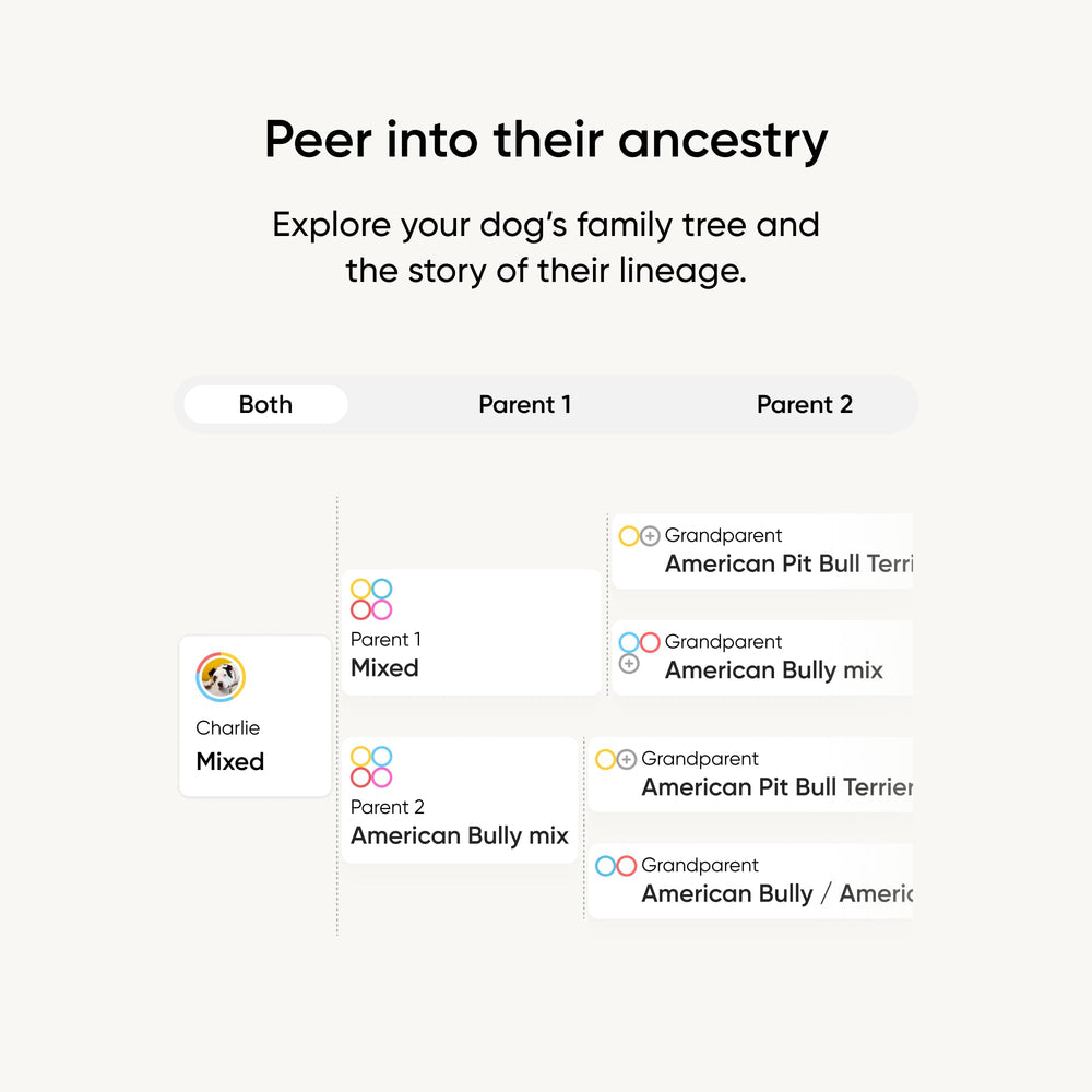 Embark hisopo sostenido en mano mostrando tamaño real y conveniencia