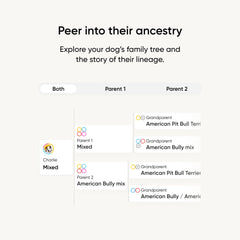Embark hisopo sostenido en mano mostrando tamaño real y conveniencia
