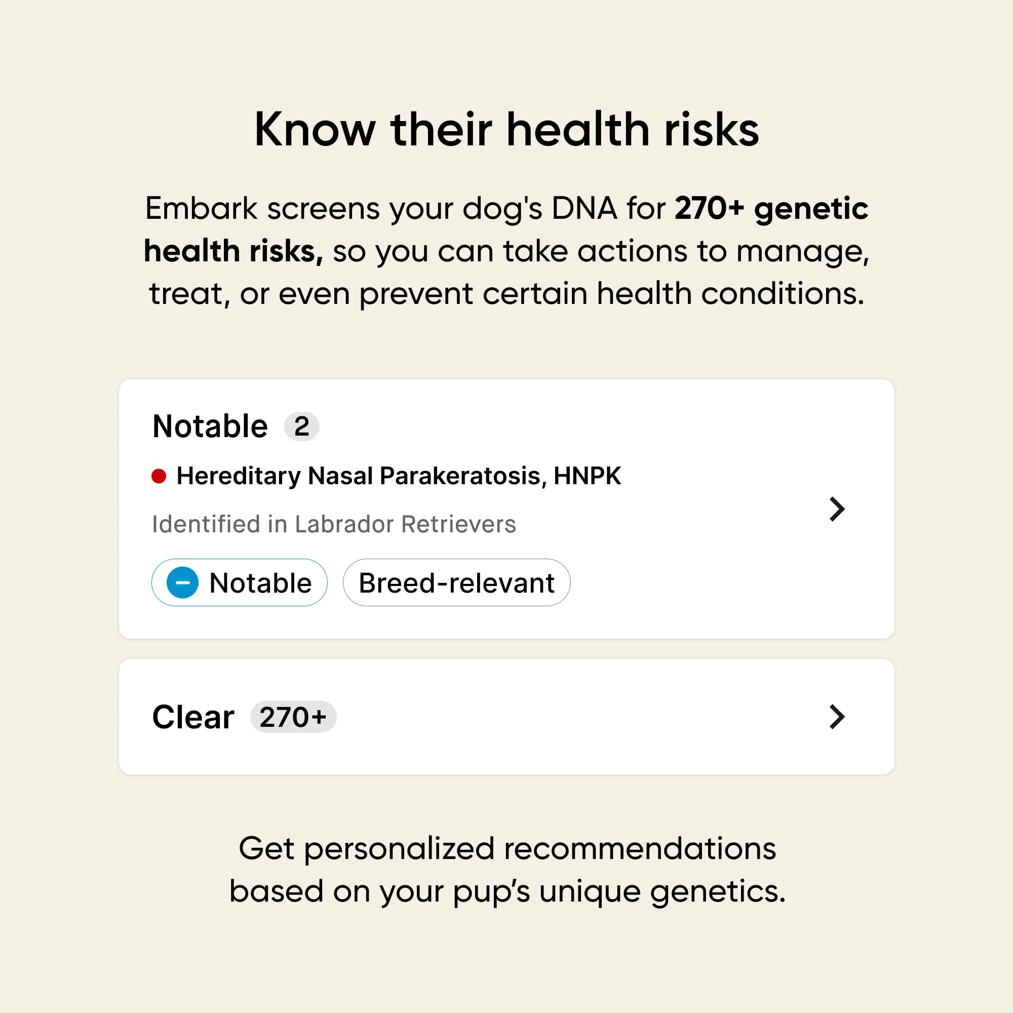 Embark persona frotando mejilla del perro para tomar muestra