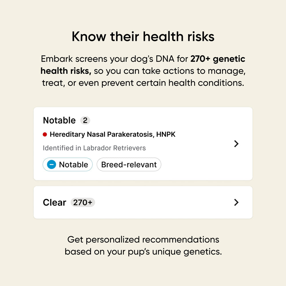 Embark persona frotando mejilla del perro para tomar muestra