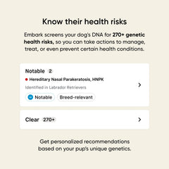 Embark persona frotando mejilla del perro para tomar muestra