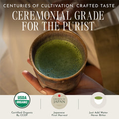Encha matcha ceremonial servido en taza con espuma sedosa