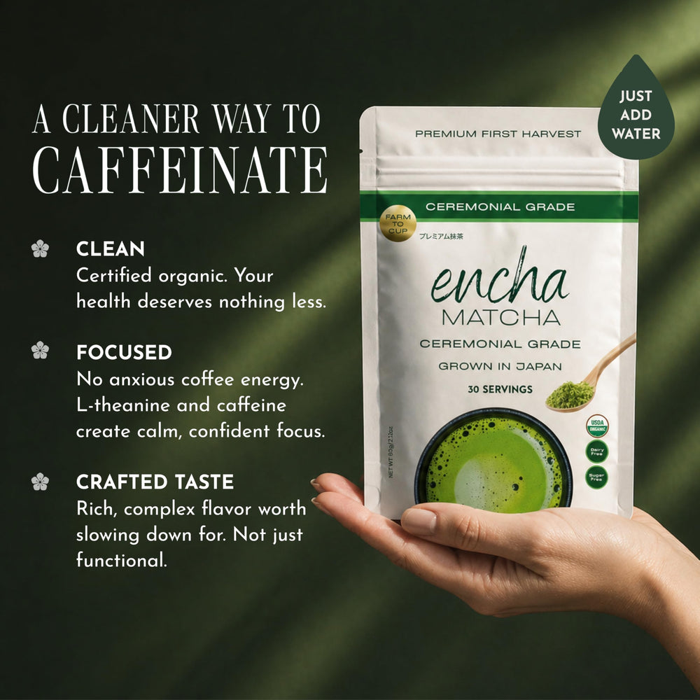 Encha matcha en escena de desayuno mostrando uso cotidiano