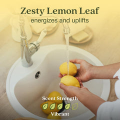 Enviroscent cartucho Lemon Leaf & Thyme cerca que facilita recambios rápidos