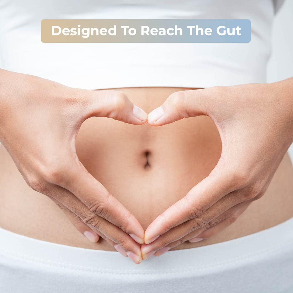envitamin sello GMP Slimbiosys fabricado con estándares altos